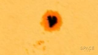 Sun 'Hearts' Us With Huge Active Region | Video