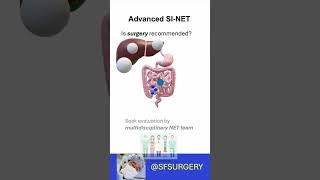Surgery for Advanced Small Intestine Neuroendocrine Tumors (SI-NETs): The Most Effective Treatment