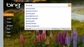 Take control of Bing with your search preferences