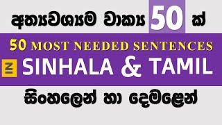 Learn 50 MOST NEEDED Sentences in Sinhala and Tamil /  Spoken Tamil / Spoken Sinhala / Lesson 01