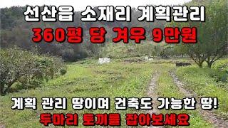 [선산 토지 매매] 계획관리+건축가능 두마리의 토끼를 잡을 수 있는 땅! 구미에서 25분 거리!