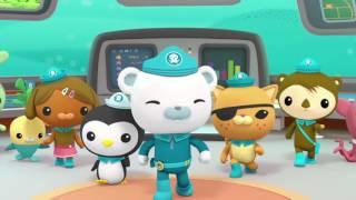 Octonauts: Creature Reports - Comb Jellies
