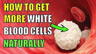 How To Increase White Blood Cells Naturally