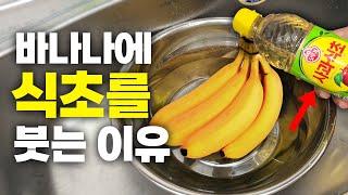 2주 넘게 멀쩡하게 바나나 보관방법 | 날파리 꼬임없는 바나나 꿀팁 | 냉장고 바나나 보관법