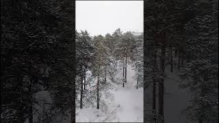 Забыть нельзя, вернуться невозможно...  Артур.