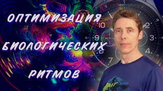 Оптимизация биологических ритмов