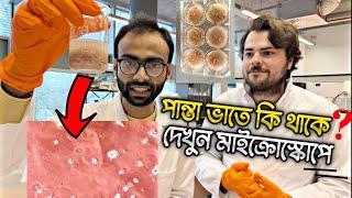 মাইক্রোস্কোপে ধরা পরল পান্তা ভাতের ব্যাকটেরিয়া| Sabbir Ahmed