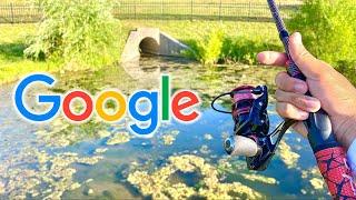 GOOGLE MAPS Pond Was LOADED With Fish!!