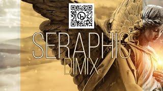 DIMIX - HOUSE MUSIC COMPILATION ALBUM (SERAPHIC)