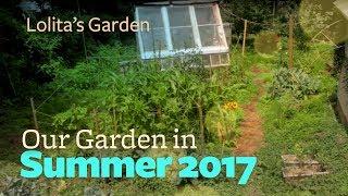 Summer Garden 2017