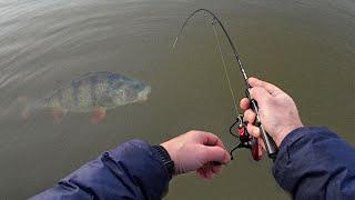 Lure fishing success! Mifine Nano Jig rod tested on big perch