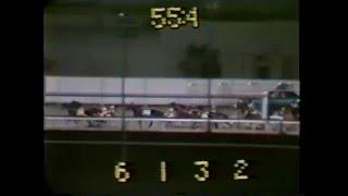 1982 Genghis Khan Meadowlands Track Record