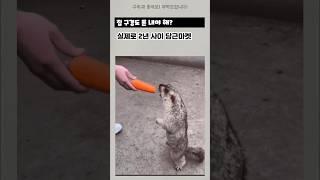 집 구경만 해도 돈을 내야 한다고? #부동산 #아파트 #임장