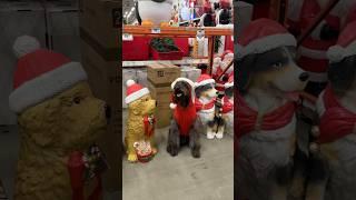 They’re all so realistic..‍ @HomeDepot #labradoodle #merrychristmas #happyholidays