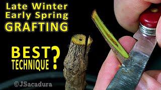 BEST GRAFTING TECHNIQUE in early SPRING? | Grafting Fruit Trees