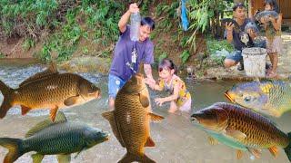 Single Dad, Meet a giant school of fish, catch and trap fish with his 4 year old daughter, cook