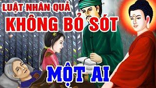 Luật Nhân Quả Không Bỏ Sót Một Ai... Gieo Nhân Gặt Quả, Ác Giả Ác Báo - Chuyện Nhân Quả Có Thật 100%