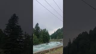 A Day in Betaab Valley: Nature's Paradise in Pahalgam ️ ️| #kashmir #pahalgam #PahalgamDiaries