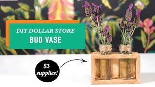 Dollar Store Rustic Bud Vase | Easy DIY Decor