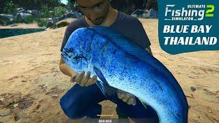 Giant Mahi-Mahi Fish, Tiger Shark, Blue Bay in Thailand, Ultimate Fishing Simulator 2