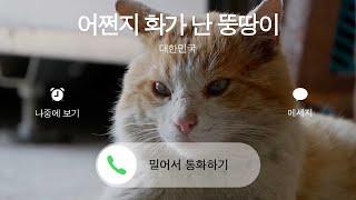 Interpreting Cats : PART 2 - Ttungttang's call