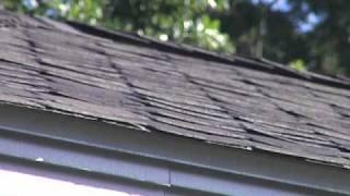 Pasco Roofing-Roofing, Port Richey, FL