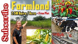 FARMLAND FOR SALE IN OBAFEMI OWODE, BEFORE ABEOKUTA OGUN STATE NIGERIA: FARM CITY ESTATE