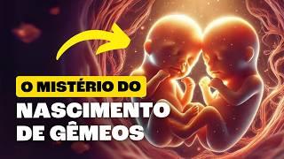 5 Tipos de Gêmeos Que Você NÃO CONHECE!