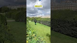 Expectation vs. Reality: Flipping Gone Wrong! ‍️ #gymnast #fail