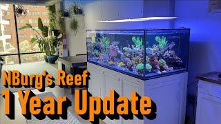 SPS Reef Tank Upgrade: One Year Later