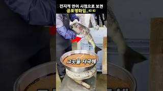 전지적 연어 시점으로 보면 공포영화임..ㄷㄷ