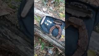 Что можно найти с металлоискателем около дома??? Лесной #коп #metaldetecting #xp #клад #история #топ
