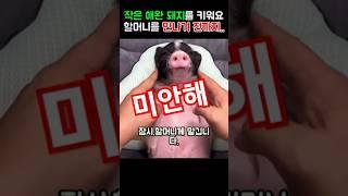 너를 할머니에게 보내면 아니 되었었다...