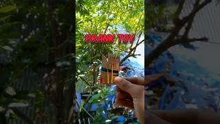 Prank toy Making! By Cardboard:)#shorts