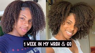 A Week In My Type 4 Wash & Go 