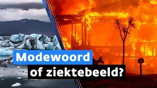 Ecorexia en klimaatstress: deze woorden ga je vaker horen | NIEUWSUUR