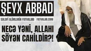 Şeyx Abbad - Necə yəni, Allahı söyən cahildir?! I fatvalar.com