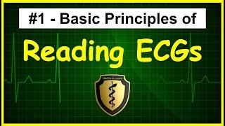 ECG/EKG Interpretation Tutorial - Episode 1 - Basic Principles