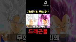 자의식의 극의란 무엇인가? (드래곤볼)