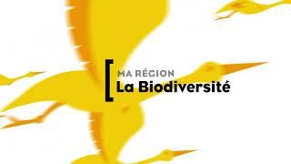 Compétences de la Région Bourgogne-Franche-Comté - Chapitre 8 : la Biodiversité