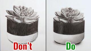 Dos and Donts of Realistic Graphite Pencil Drawings