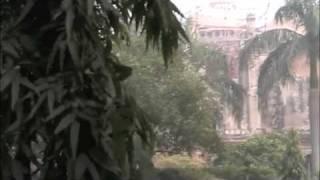 Webisode 1: Lodi Gardens