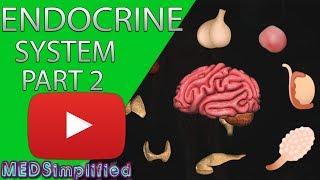 Human Endocrine System Made simple PART 2