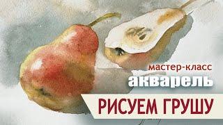 Рисуем ГРУШУ  акварель  Елена Гридасова