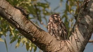 L'OCCITANE - We Grow - Cultivators of Change (2022)