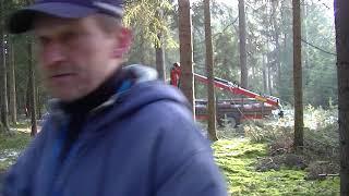 Johny 2140 und Perzl im Wald 2017