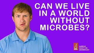 Can We Live in a World Without Microbes?