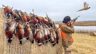 3 Days Pheasant Hunting in South Dakota! (CATCH CLEAN COOK)