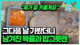 이토록 사람을 무서워 했던 개 태풍이의 끔찍한 평생의 트라우마 설쌤의 솔루션으로 치료될 수 있을까요?  #왜그러냥귀엽개