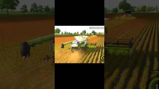 Sorghum Harvesting Very Fast | Claas Or Fendt Harvester | fs25 #fs25 #farmingsimolater25 #shorts
